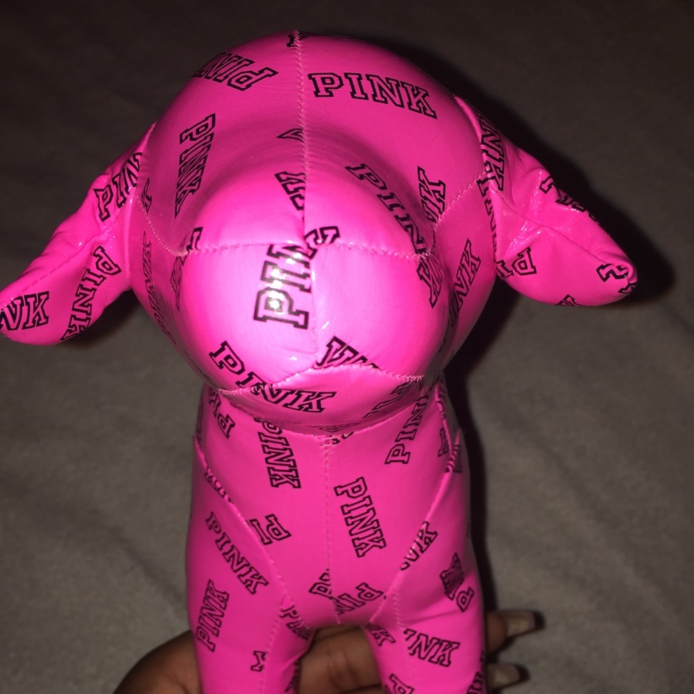 This adorable Victoria Secret Pink dog.